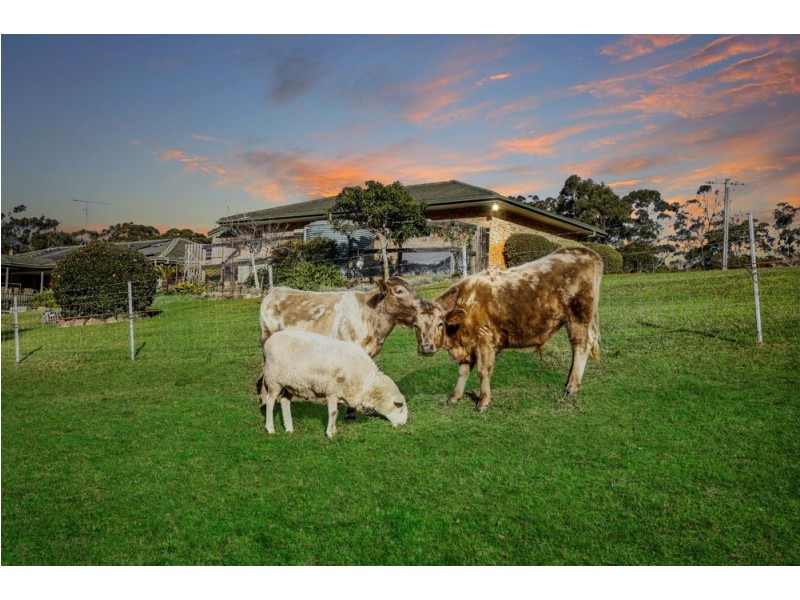 355 Brush Road, Ourimbah NSW 2258