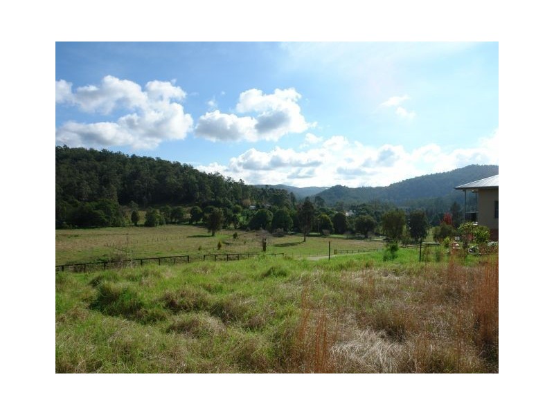 Lot 41 Robinvale Lane, Yarramalong NSW 2259