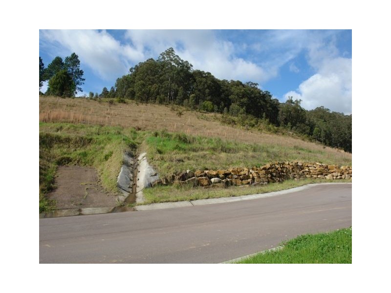 Lot 41 Robinvale Lane, Yarramalong NSW 2259