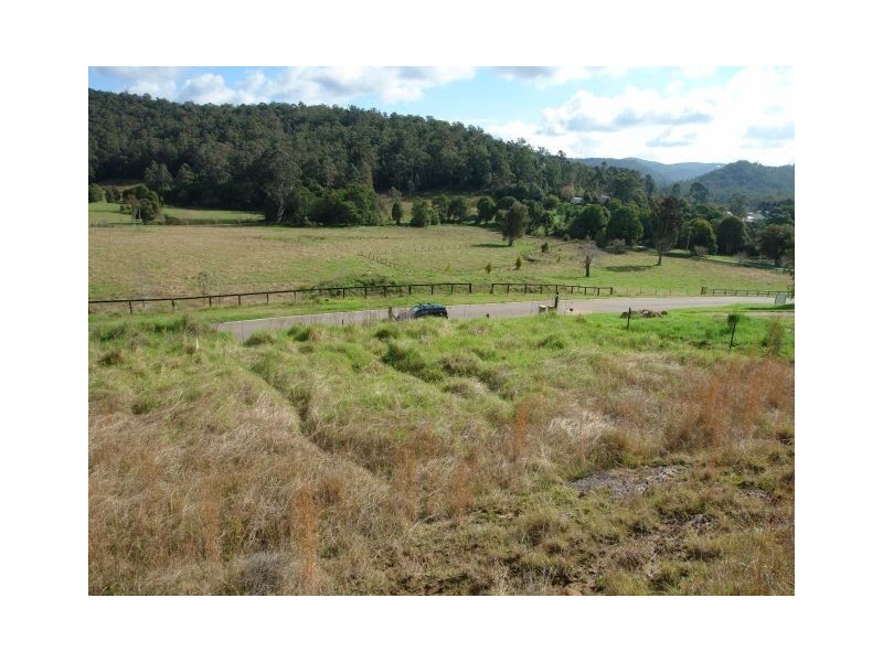 Lot 41 Robinvale Lane, Yarramalong NSW 2259