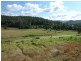 Yarramalong NSW 2259