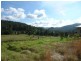 Yarramalong NSW 2259