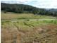 Yarramalong NSW 2259