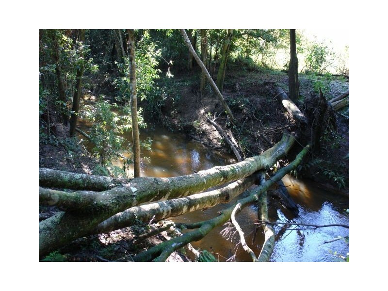 Lot 2 Ourimbah Creek Road, Ourimbah NSW 2258