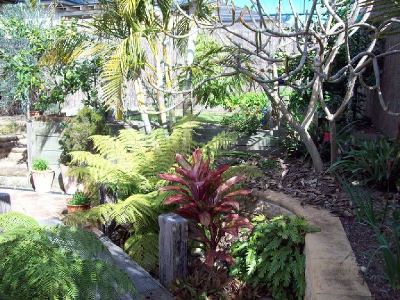 6 Parkrange Way, Woongarrah NSW 2259