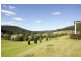 30 Fern Tree Lane, Palmdale NSW 2258