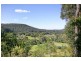 30 Fern Tree Lane, Palmdale NSW 2258