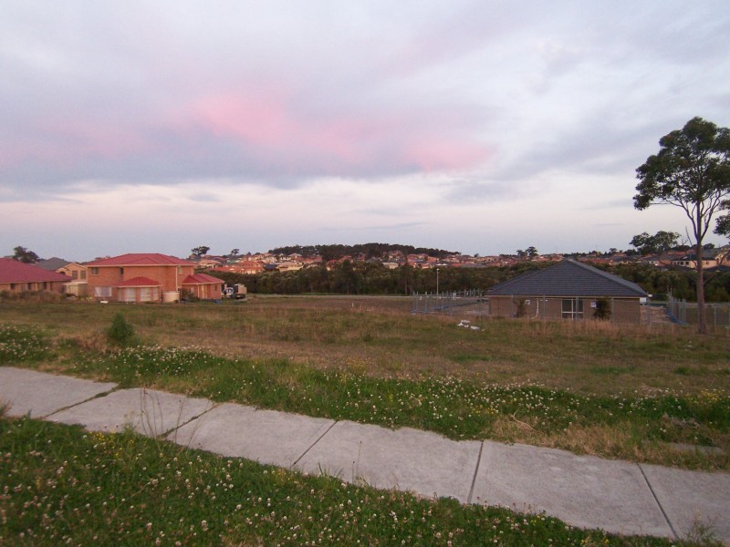 Woongarrah NSW 2259