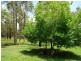 Warnervale NSW 2259