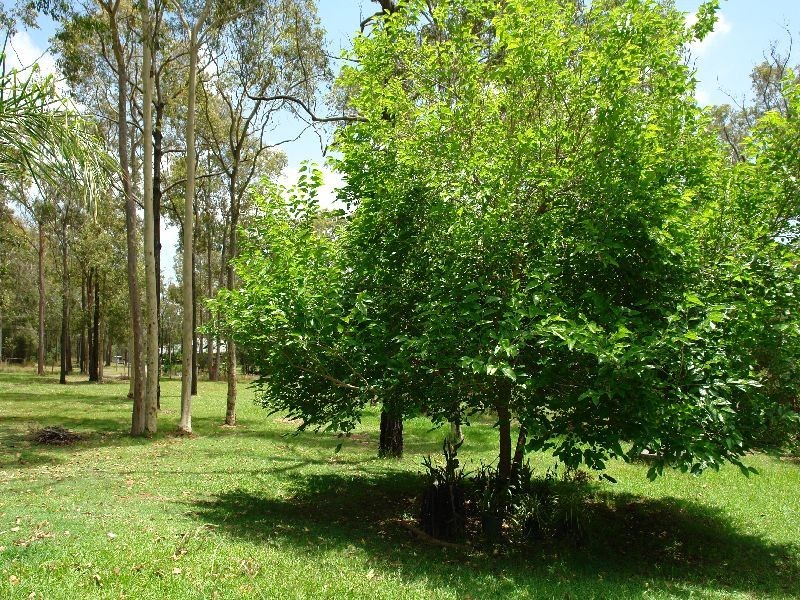 Warnervale NSW 2259