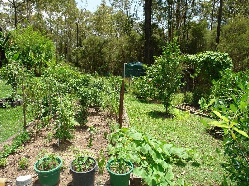 Warnervale NSW 2259