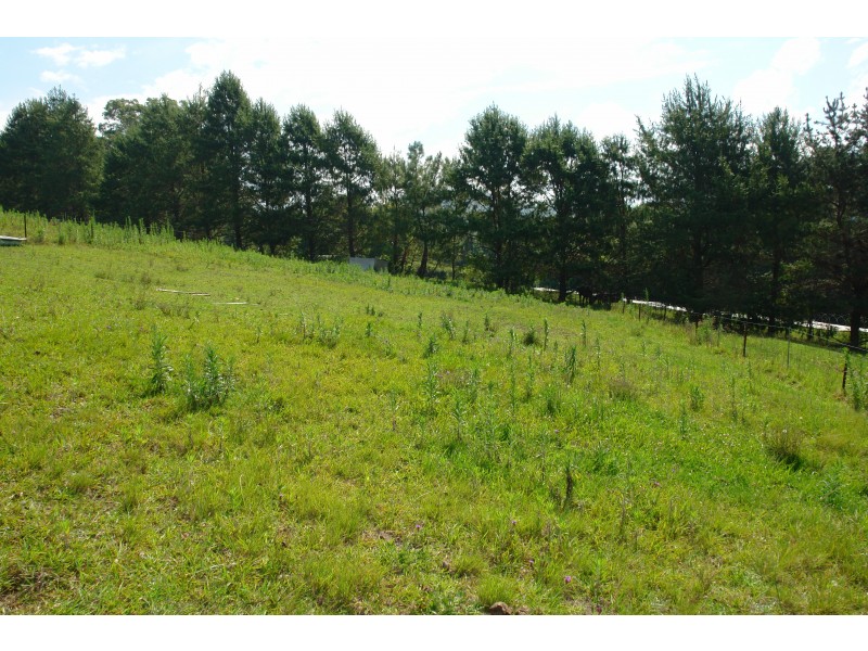 940 Yarramalong Road, Wyong Creek NSW 2259