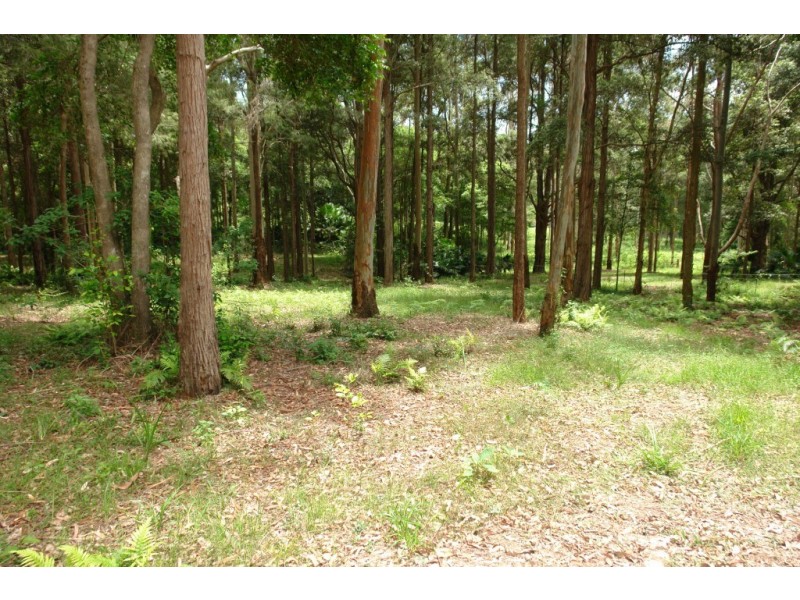 Lot 501 Berkeley Road, Fountaindale NSW 2258