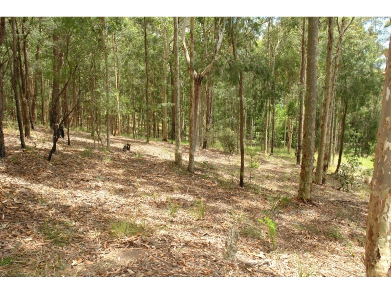 Lot 501 Berkeley Road, Fountaindale NSW 2258