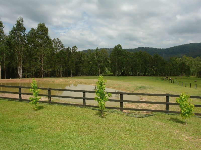 1497 Dooralong Road, Dooralong NSW 2259