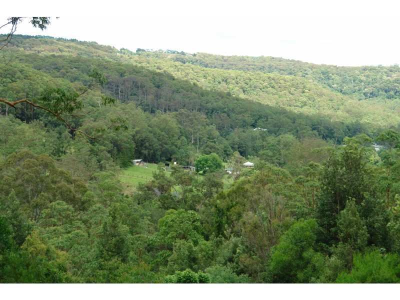 20 Moores Point Road, Ourimbah NSW 2258