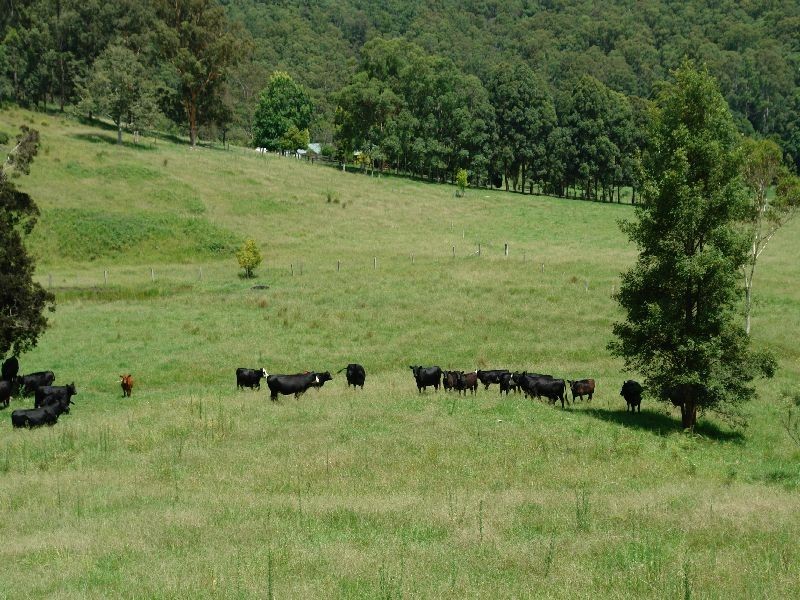 Yarramalong NSW 2259