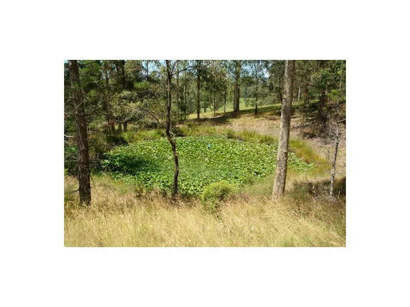 242 Jilliby Road, Jilliby NSW 2259