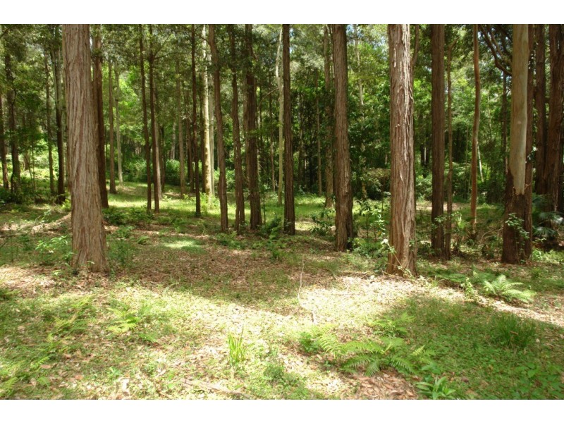 Lot 501  Berkeley Road, Fountaindale NSW 2258