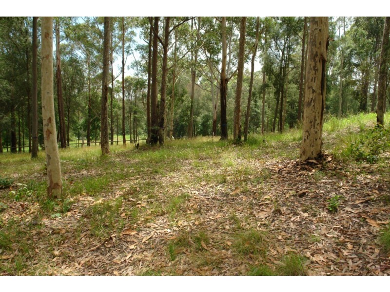 Lot 501  Berkeley Road, Fountaindale NSW 2258