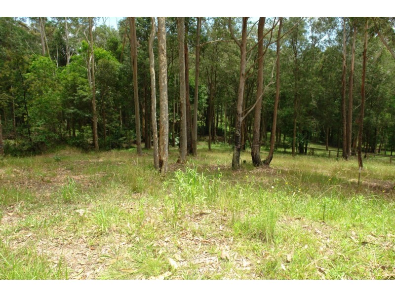Lot 501  Berkeley Road, Fountaindale NSW 2258