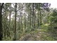 240 Brush Road, Ourimbah NSW 2258