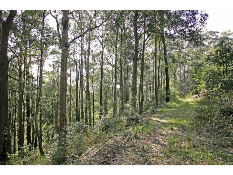 240 Brush Road, Ourimbah NSW 2258
