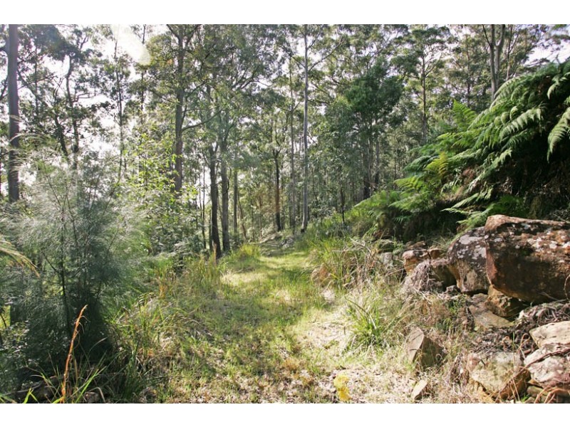 240    Brush Road, Ourimbah NSW 2258