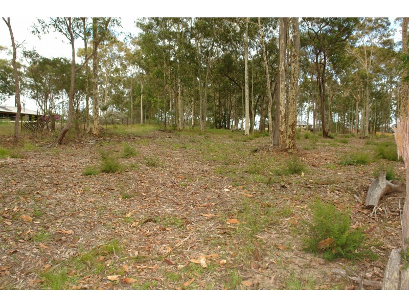 Owl Park, Wadalba NSW 2259