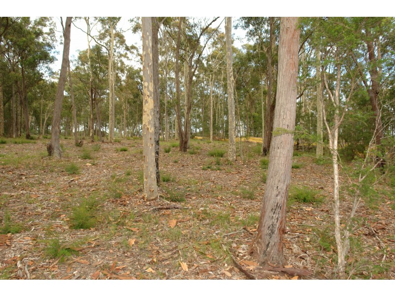 Owl Park, Wadalba NSW 2259