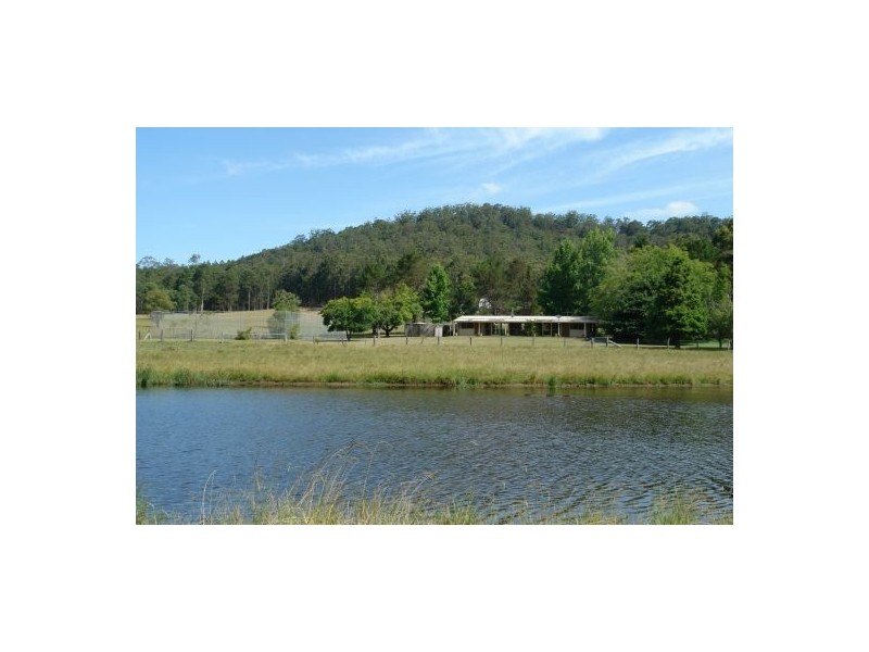 1371 Dooralong Road, Dooralong NSW 2259