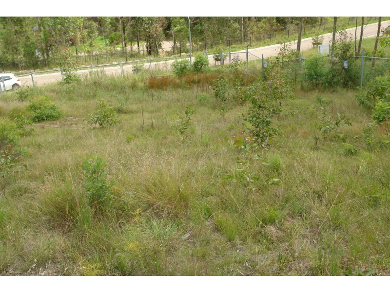 8 Heron Street, Watanobbi NSW 2259