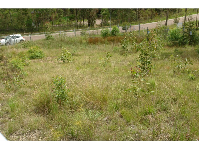 8 Heron Street, Watanobbi NSW 2259