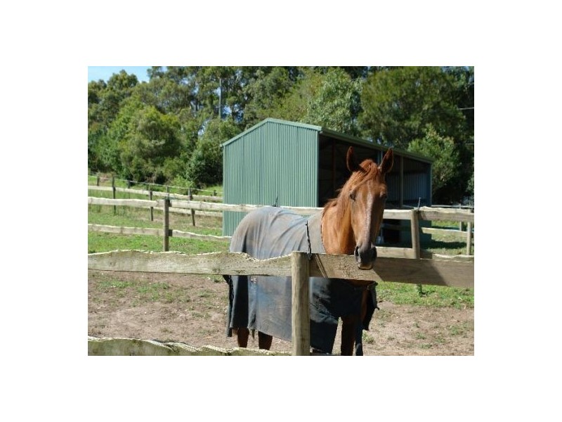 50 Berkeley Road, Glenning Valley NSW 2261