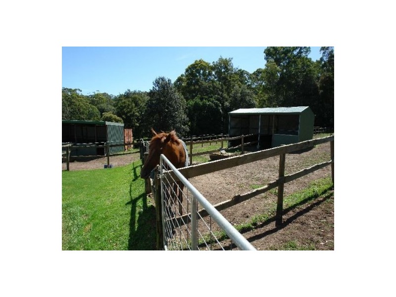 50 Berkeley Road, Glenning Valley NSW 2261