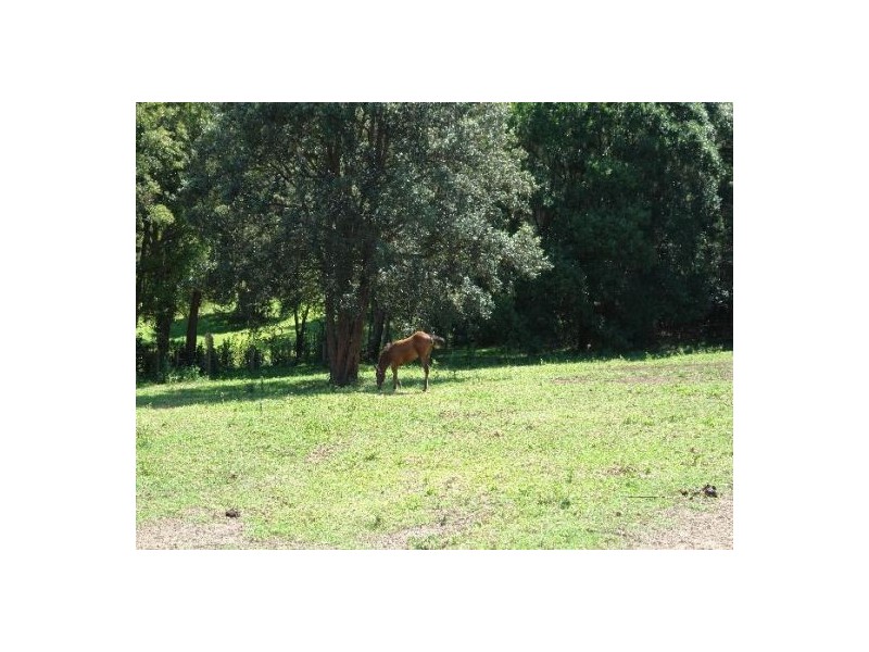 50 Berkeley Road, Glenning Valley NSW 2261