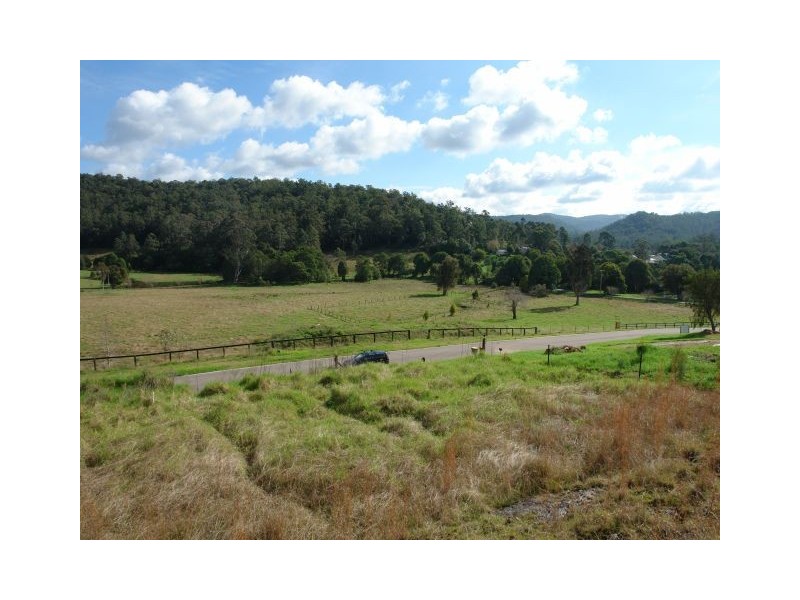 Lot 41 Robinvale Lane, Yarramalong NSW 2259