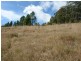 Lot 41 Robinvale Lane, Yarramalong NSW 2259