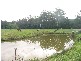 Dooralong NSW 2259