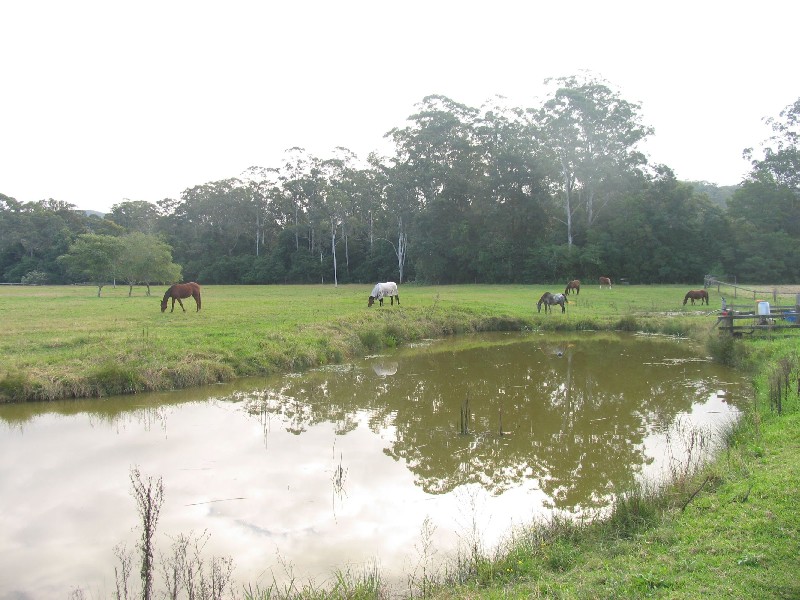 Dooralong NSW 2259