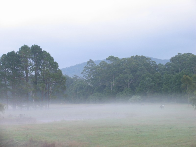 Dooralong NSW 2259