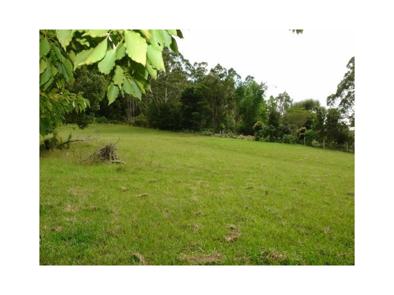 Lot 341 Yarramalong Road, Yarramalong NSW 2259