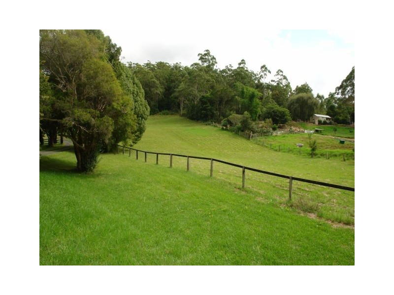 Lot 341 Yarramalong Road, Yarramalong NSW 2259