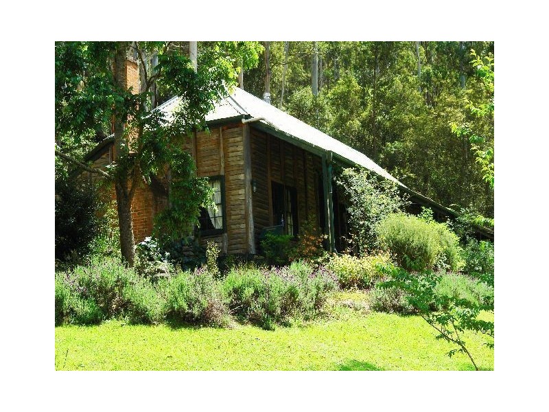 Cedar Brush Creek NSW 2259