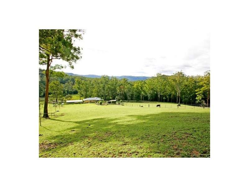 79 Pringles Road, Martinsville NSW 2265