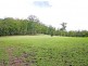 79 Pringles Road, Martinsville NSW 2265