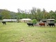 79 Pringles Road, Martinsville NSW 2265