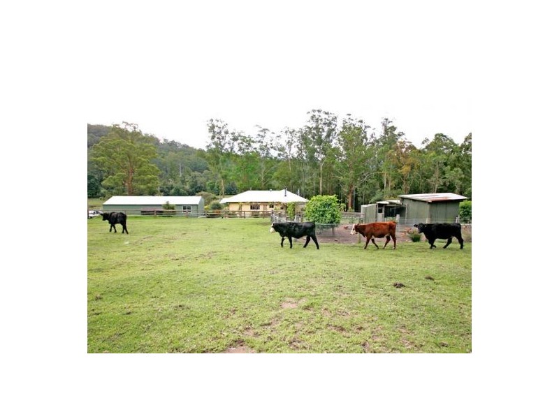79 Pringles Road, Martinsville NSW 2265