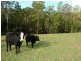 79  Pringles Road, Martinsville NSW 2265