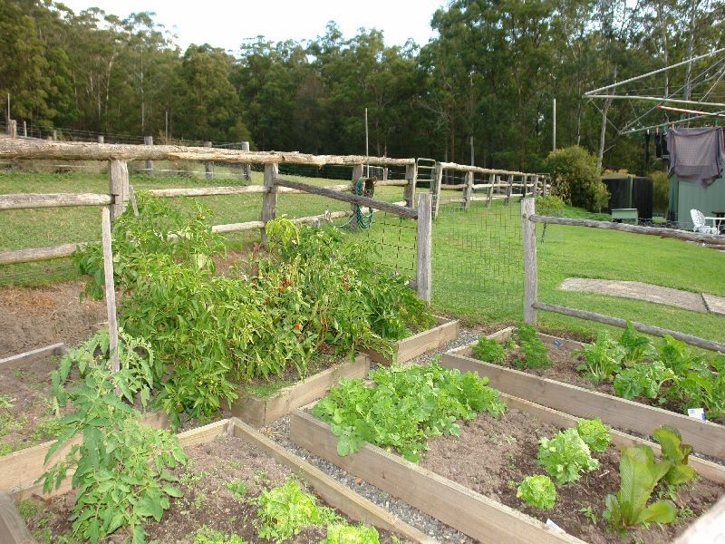 79  Pringles Road, Martinsville NSW 2265
